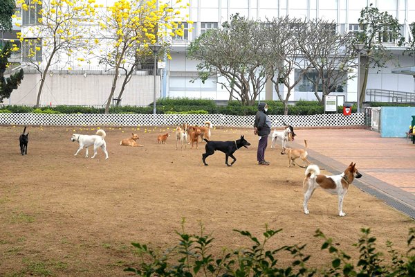 寵物共享公園周四起添逾60個