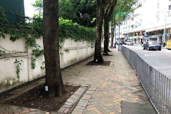 新街道索引光碟發售