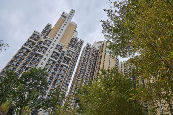 葵涌邨翠葵樓錄五宗陽性個案