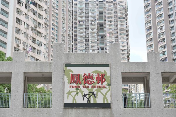 兩受限區檢十宗陽性個案