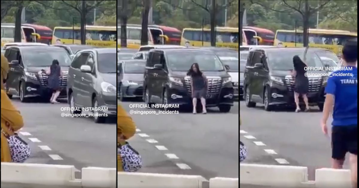女子在大士二環上狂暴並撕下車牌，警方正在調查