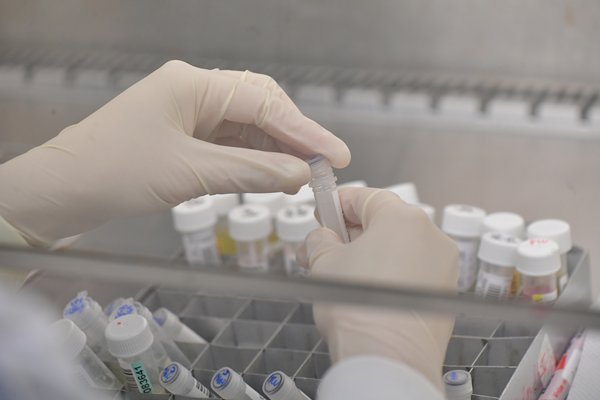兩區強檢行動發現48宗陽性個案