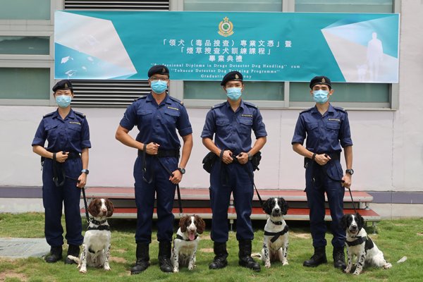 海關煙草搜查犬隊成立