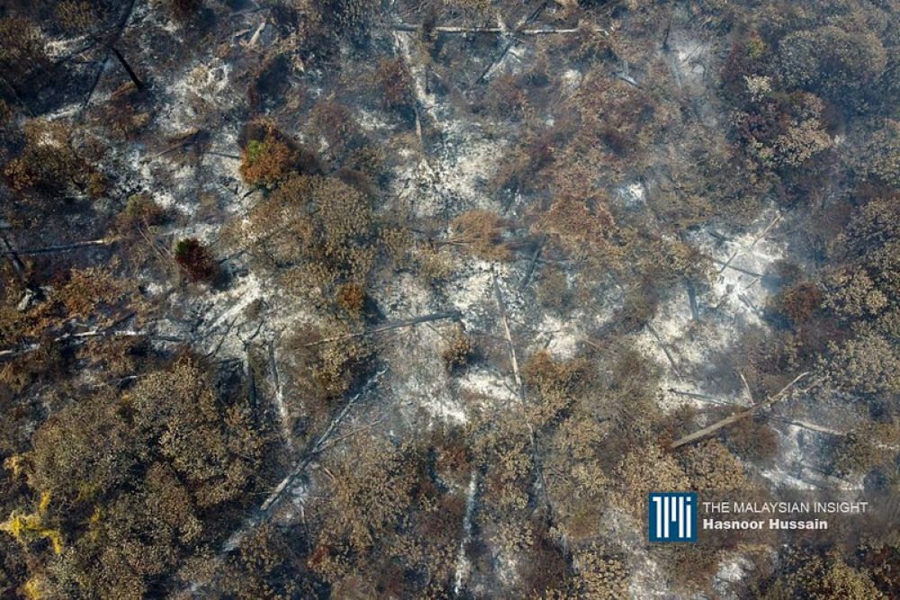 myhutan-為青年參與環境問題提供平台