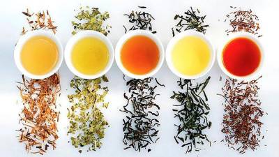 享受各種茶