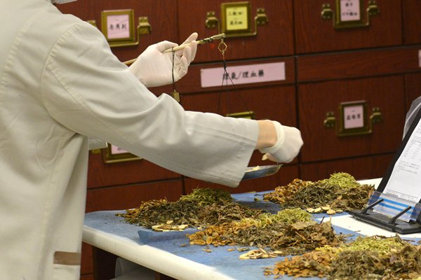 守正創新-建灣區中醫藥高地
