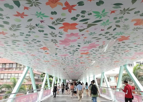 提升街道景觀-為家園添色彩