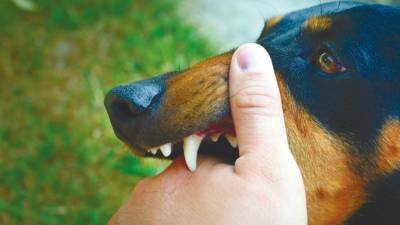 狂犬病發作