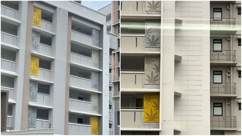 雜草，楓樹還是康康？-新加坡街區發現可疑設計圖案