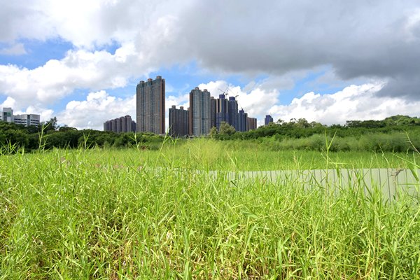 全力落實土地政策-構建宜居香港