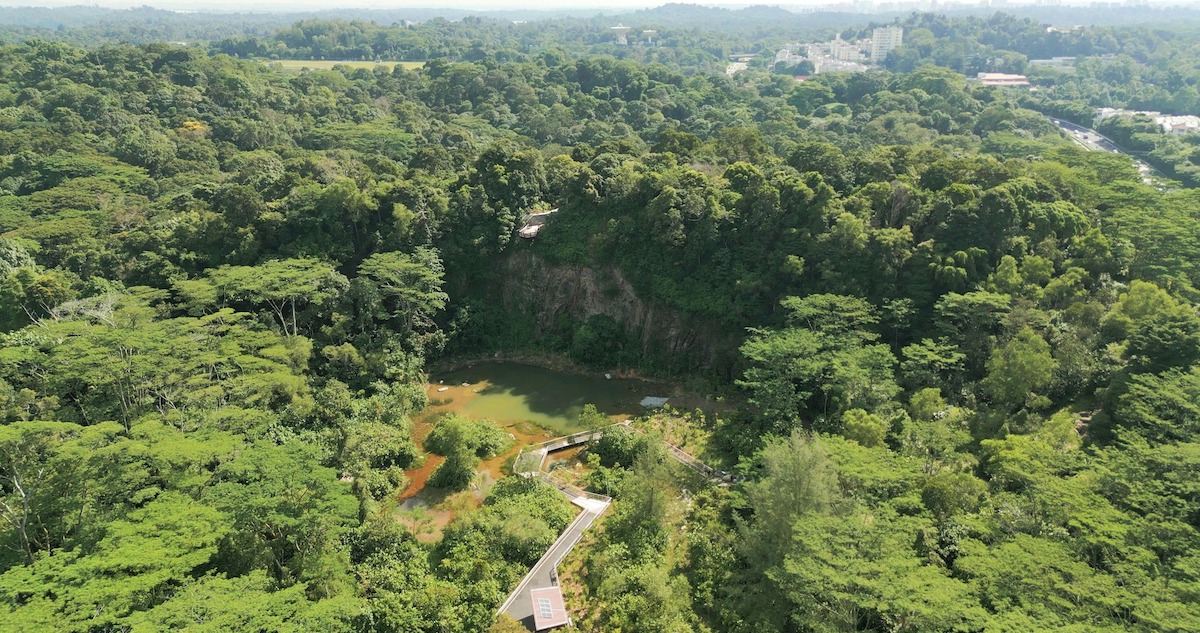 在公園裡散步：新加坡的新自然保護區有一個前採石場和一個-31-米高的甲板