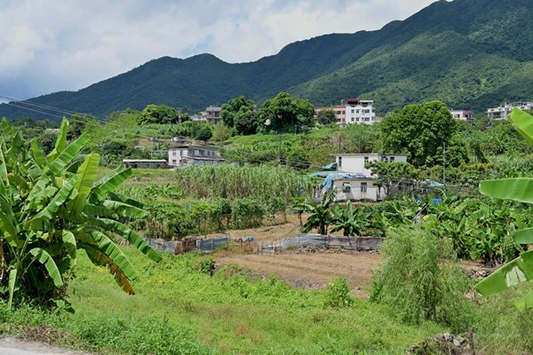 在不影響立法會監察職能的情況下精簡發展程序