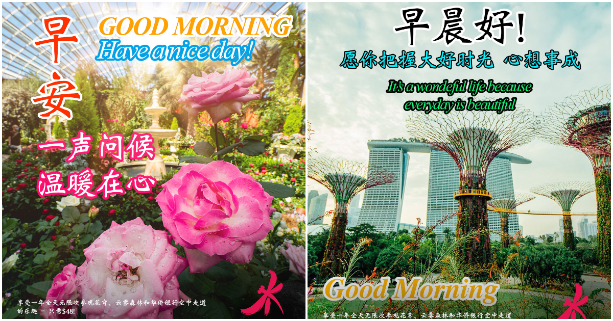 “hv-good-pm”：濱海灣花園以俗氣的“早安”廣告瞄準新加坡老年人