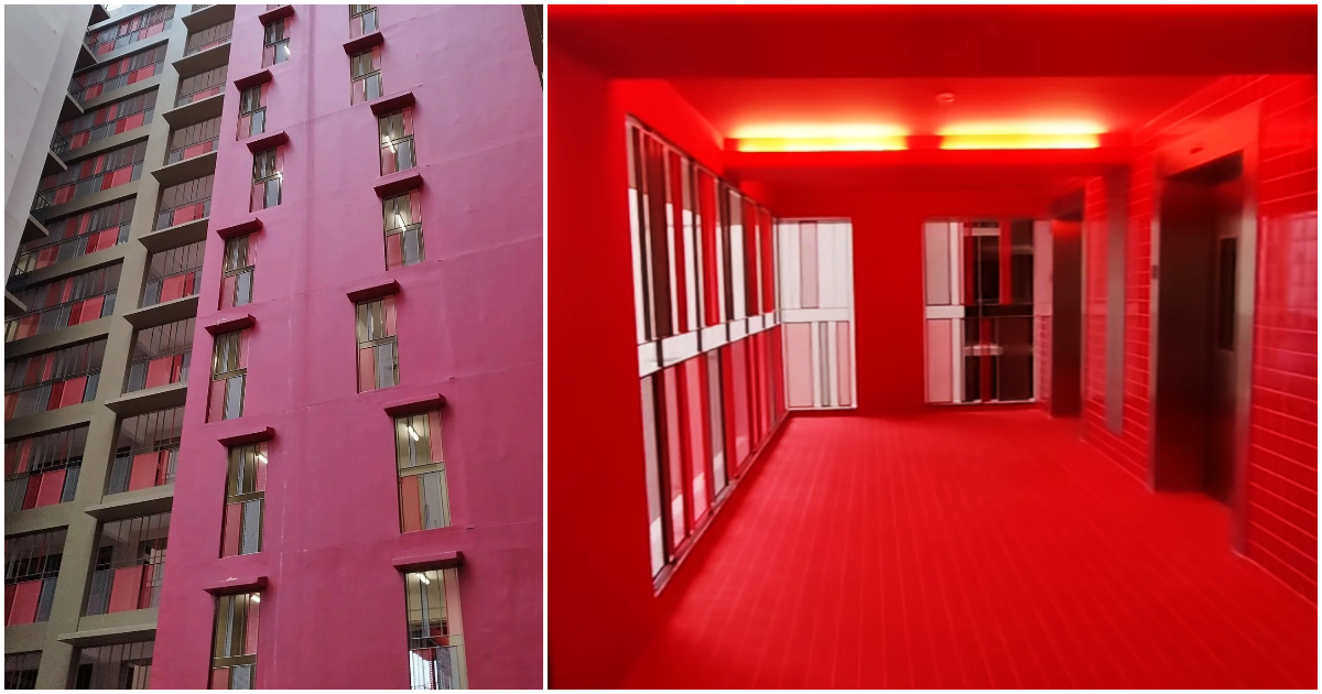 我們將“淡化”：建屋發展局在居民無法接受的“怪異”紅色淡濱尼街區