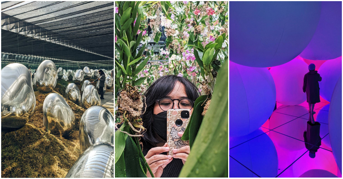 參觀-planet-selfie：teamlab-在東京的最新展覽是一次旅行(到許多不同的世界)