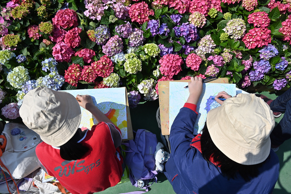 花展明晚閉幕維園下週派花