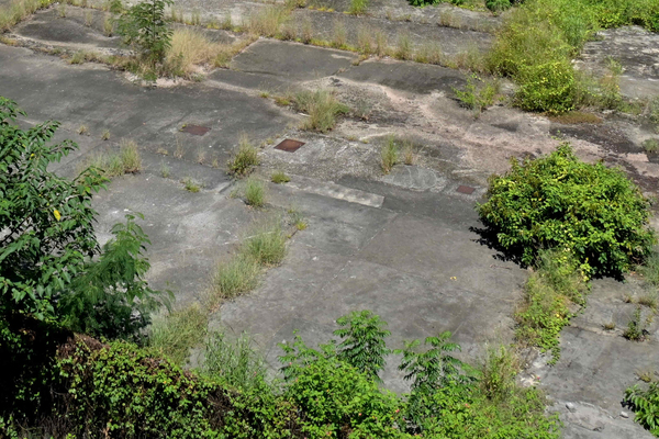五幅棕地作業及工業用地招標出租