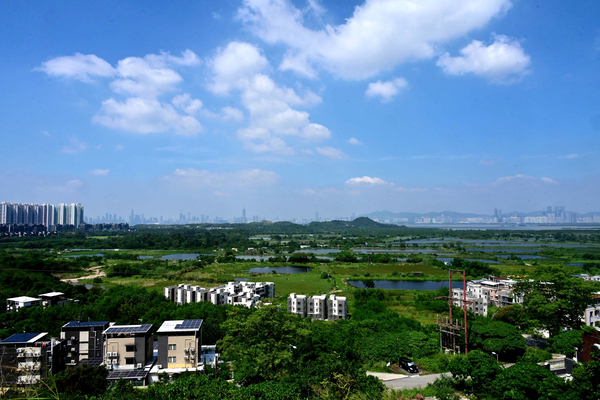 北諮會四小組委員名單公布