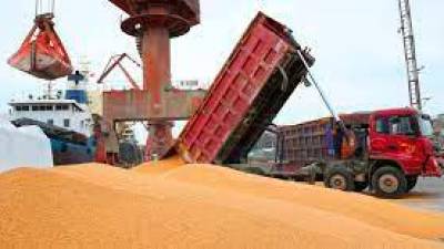 bunge-和-viterra-將合併形成-us$34b-的農業貿易巨頭