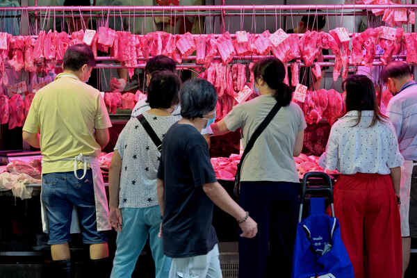 積極應對生鮮糧食店的鼠患問題