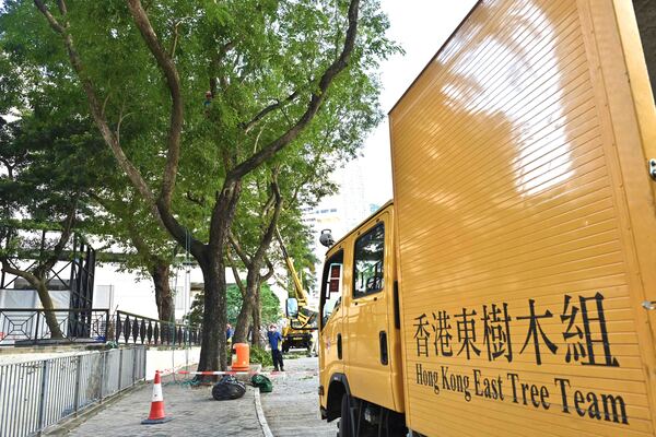 樹木辦多項措施優化投訴處理機制