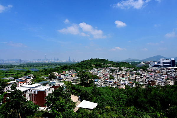 精簡程序-加快造地