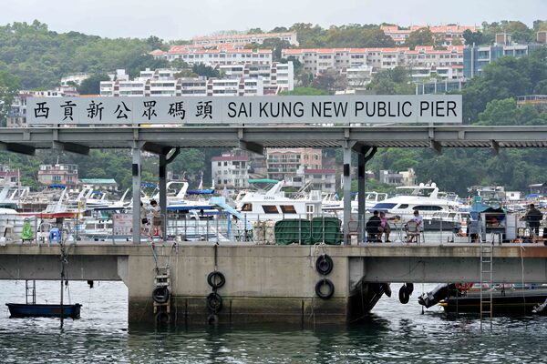漁護署籲市民勿出海觀鯨