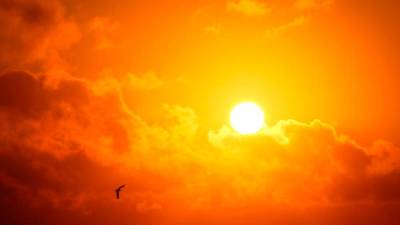 six-in-indonesia’s-central-papua-died-from-extreme-weather