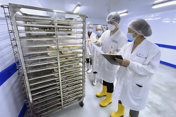食環署巡查學校飯盒供應商