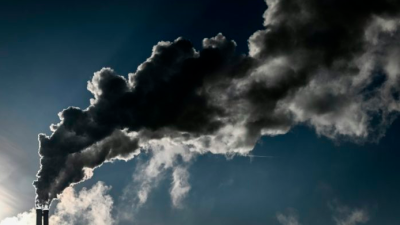 carbon-credits-catapult-companies-into-greenwashing-conundrum?