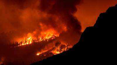 wildfire-on-spain’s-tenerife-island-spreads-to-over-4.4-acres