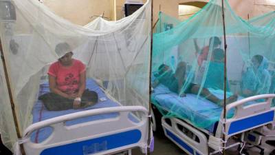 bangladesh’s-dengue-cases-top-100,000,-deaths-near-500