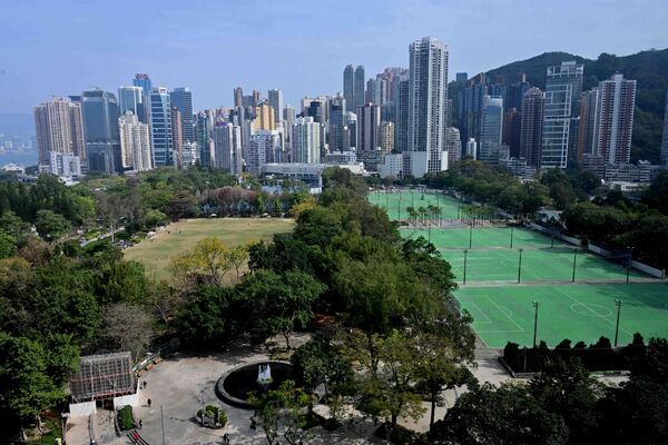 康文署移除維園有倒塌風險古樹