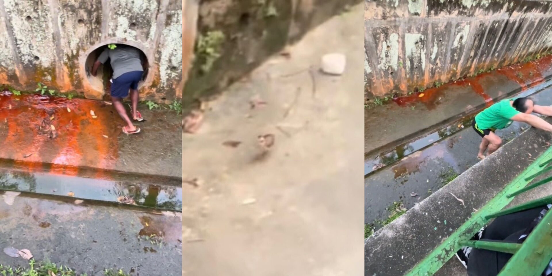 fowl-play:-trio’s-‘eggstraordinary’-canal-rescue-makes-waves-in-yishun