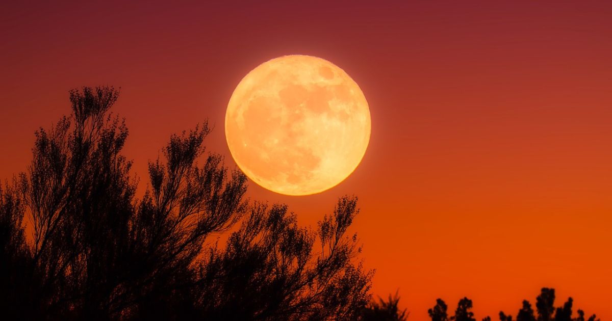 harvest-moon:-how-to-witness-the-sept.-29-celestial-wonder-in-singapore