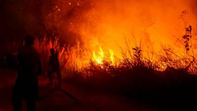 three-provinces-should-stay-alert-for-new-wildfire-risks:-indonesia