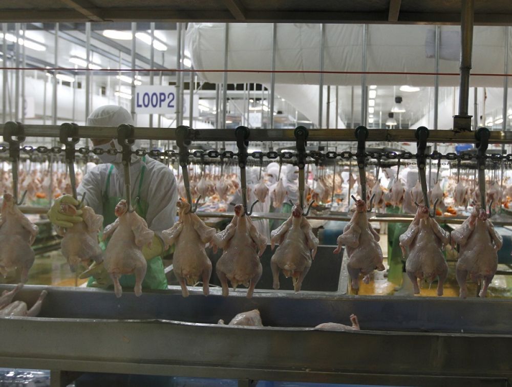 lifting-of-price-control-on-poultry-to-allow-free-market-movement,-says-minister