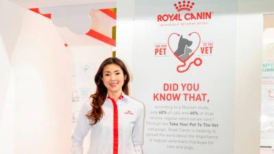 innovating-feline-care