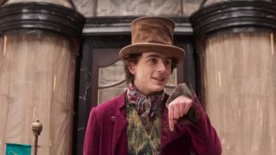 timothee-chalamet-enters-candy-world-in-wonka