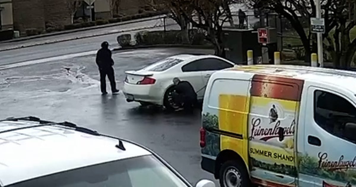 “victim”-sends-carjacker-fleeing-after-fighting-back