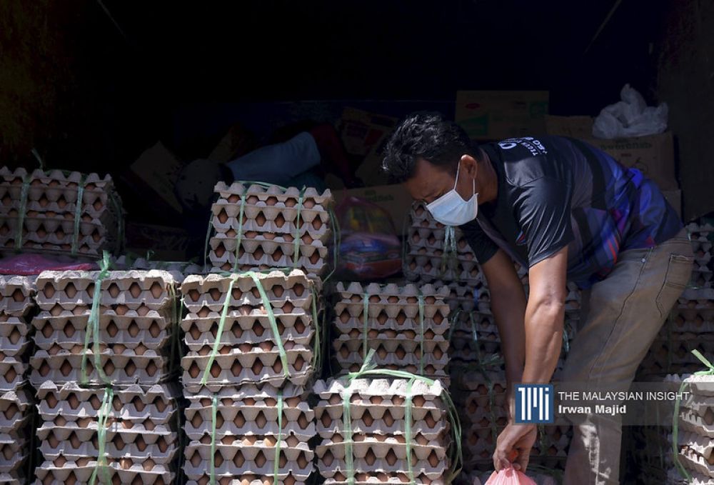 traders-say-egg-shortage-not-critical,-yet
