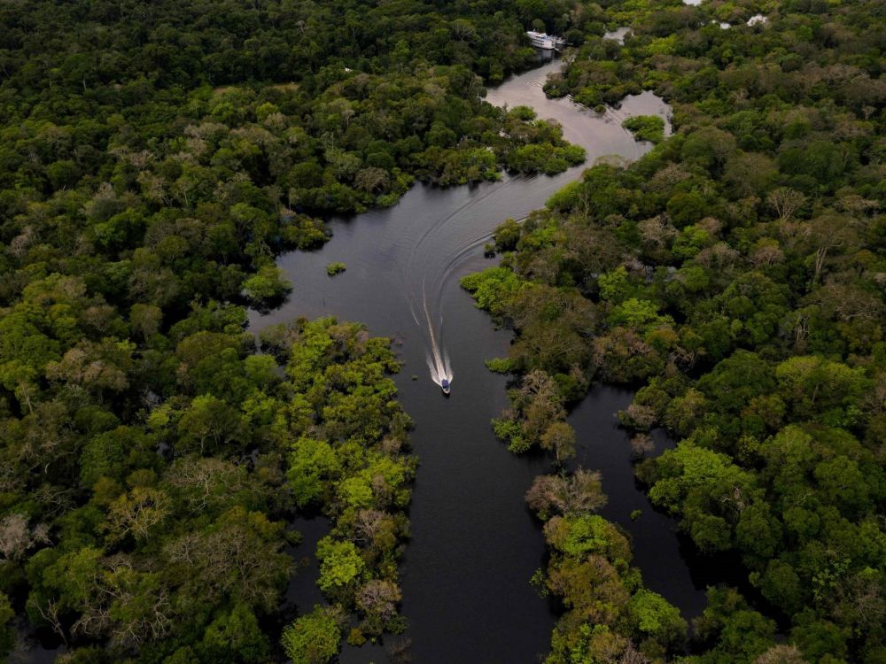 deforestation-in-brazilian-amazon-down-22%-in-a-year