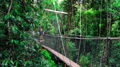top-eight-must-visit-malaysian-wonders
