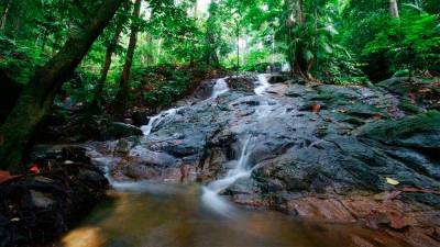 into-the-heart-of-nature