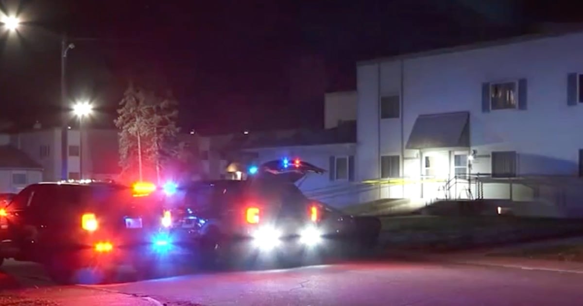 3-year-old-shoots-2-year-old-brother-with-pistol-he-found-in-mom’s-purse