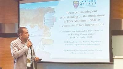 know-how,-not-finance,-key-to-adoption-of-esg-by-smes:-professor