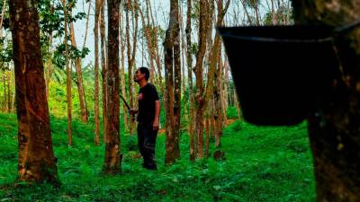 rubber-market-expected-to-trade-range-bound-next-week