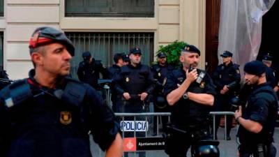 spain-police-investigate-suspected-poisoning-of-47-cats