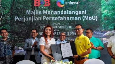 bdb,-enfiniti-escapes-to-develop-eco-tourism-projects-in-langkwai
