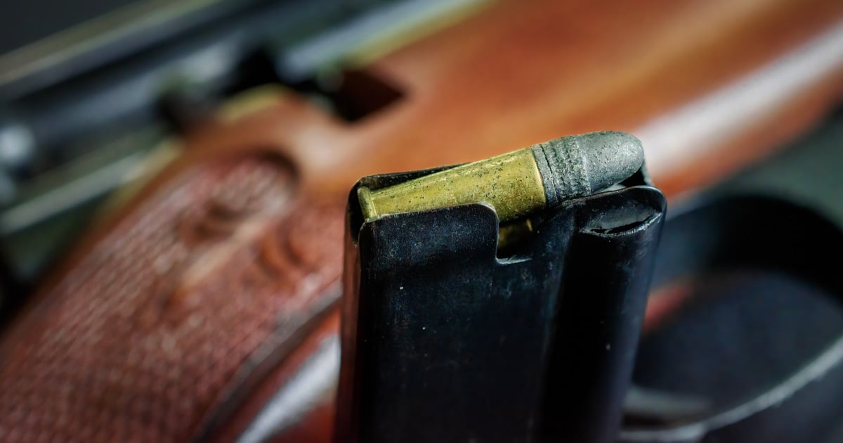 mountain-home-intruder-shot-with.22-rifle:-home-defense-with-a-smaller-caliber